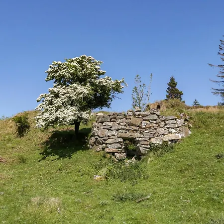 The Caravanmeenacross